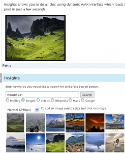 screenshot 1 246x300 תובנות   פלאגין וורדפרס לשיפור המהירות והאיכות בכתיבת פוסטים (מתורגם לעברית)